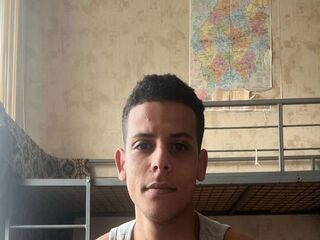 Alyfrenado
