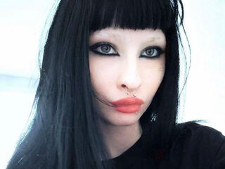 live webcam StellaTangney